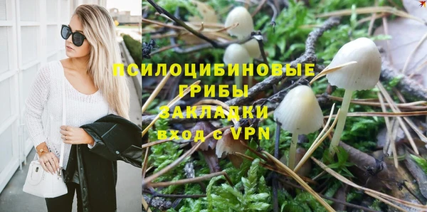 прущие крисы Алексин