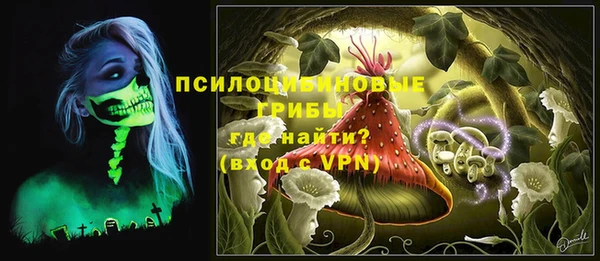 таблы Алзамай
