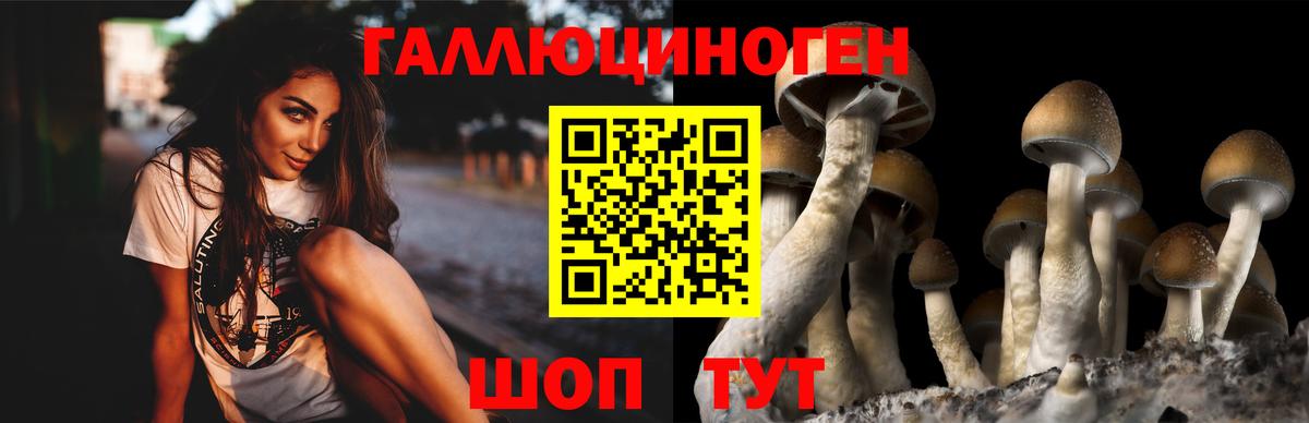 Галлюциногенные грибы Cubensis  Вход с VPN  Троицк 